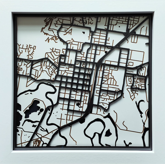 Laser Cut Map